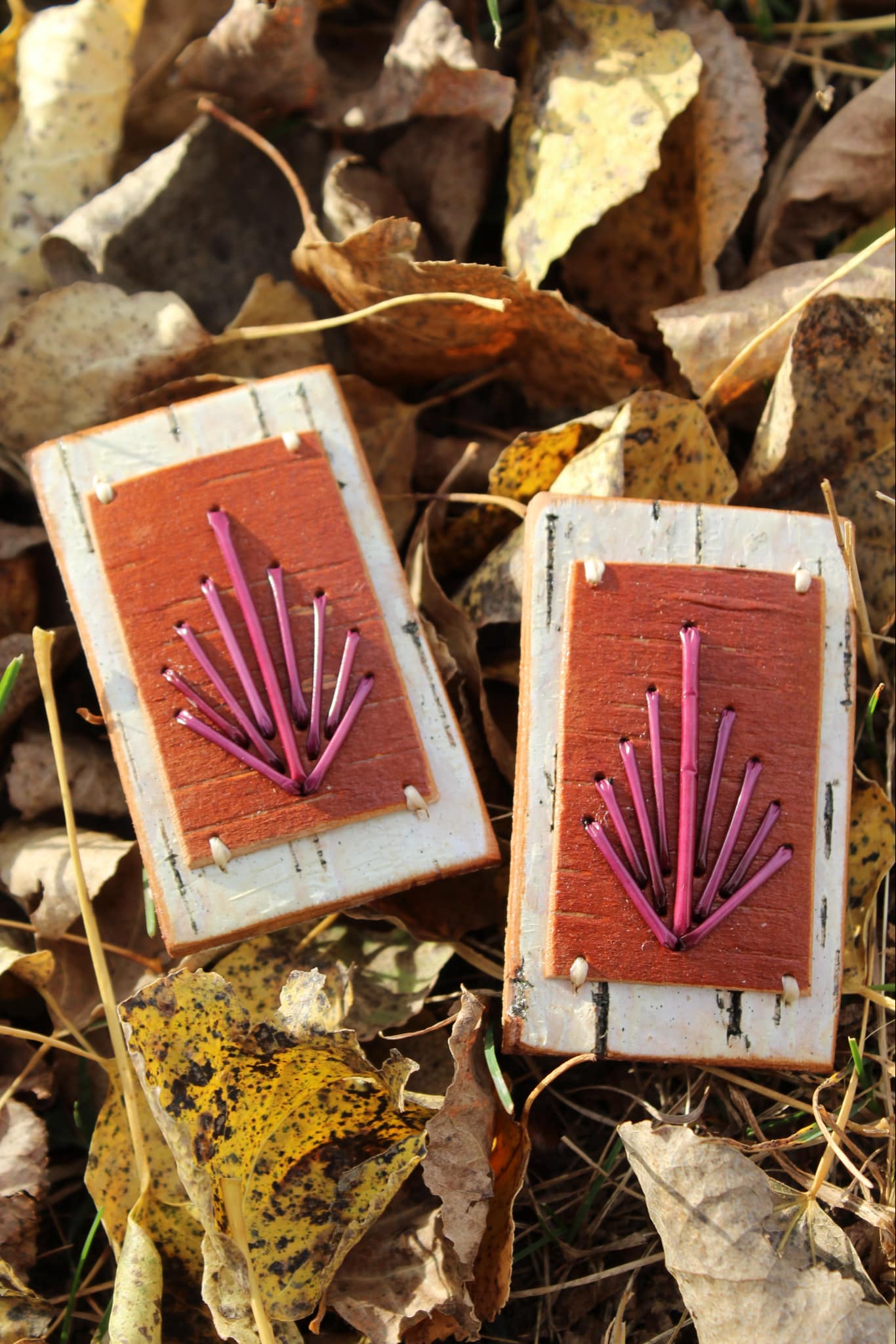 Porcupine Quill Earrings