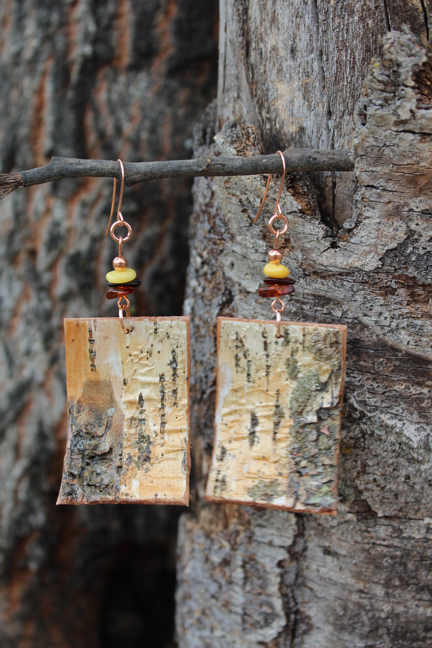 Birchbark and Amber Earrings