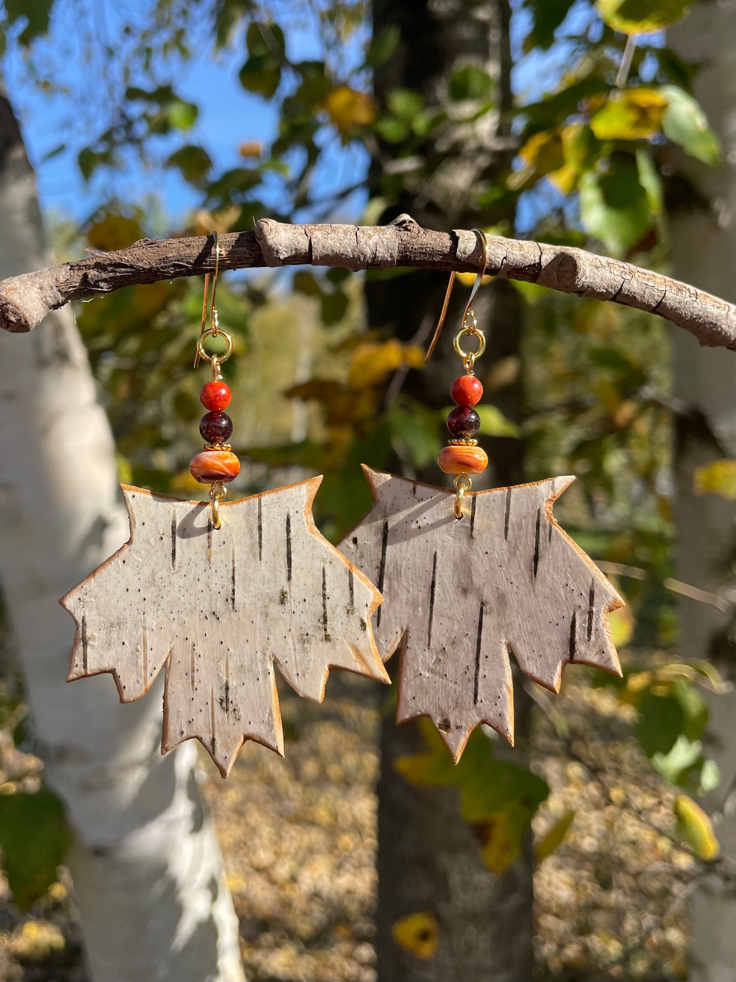 Autumn Maple Birchbark Earrings
