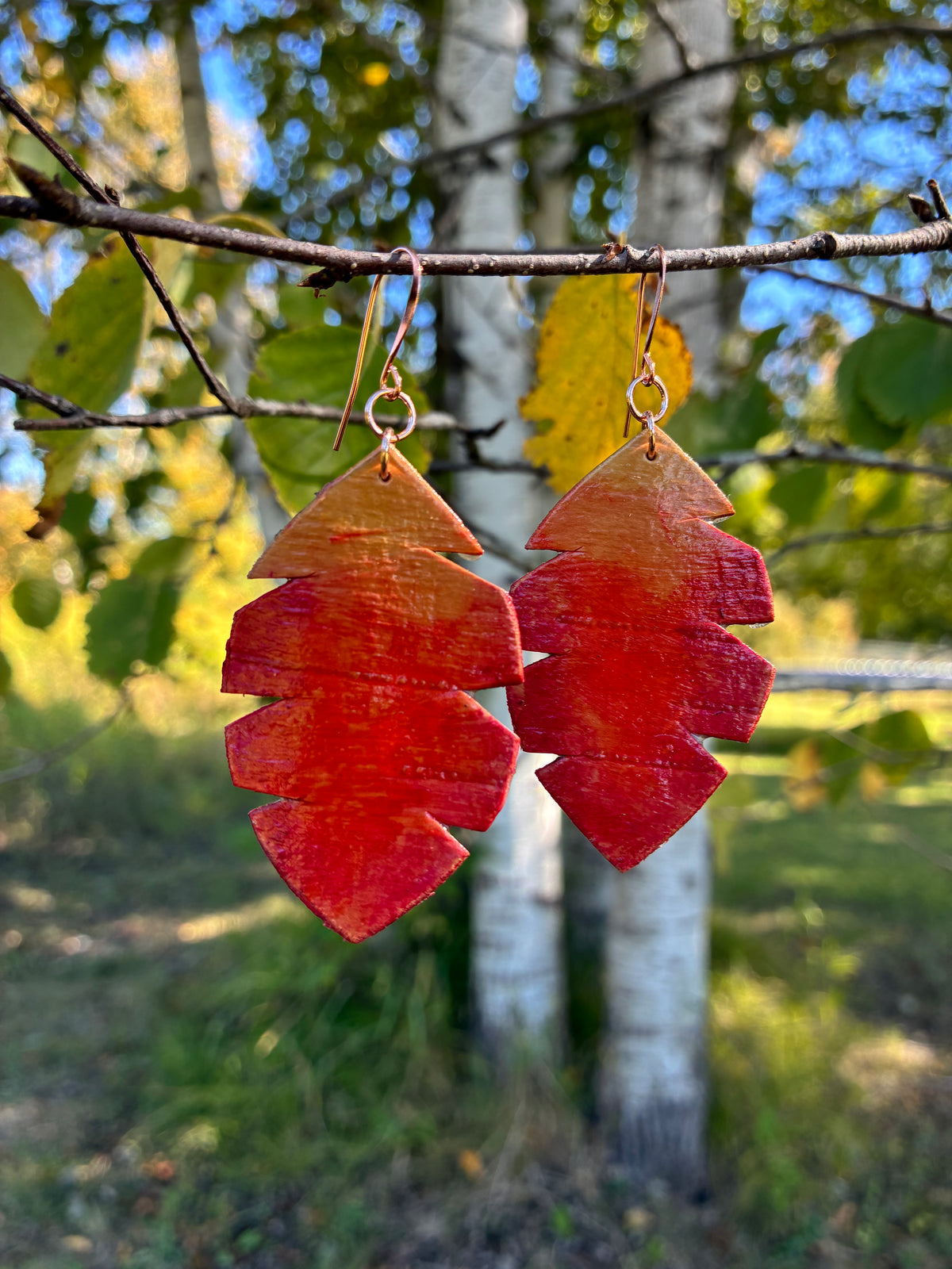 Wiigwaas Dagwaagin Birchbark and Watercolor Earrings (large)