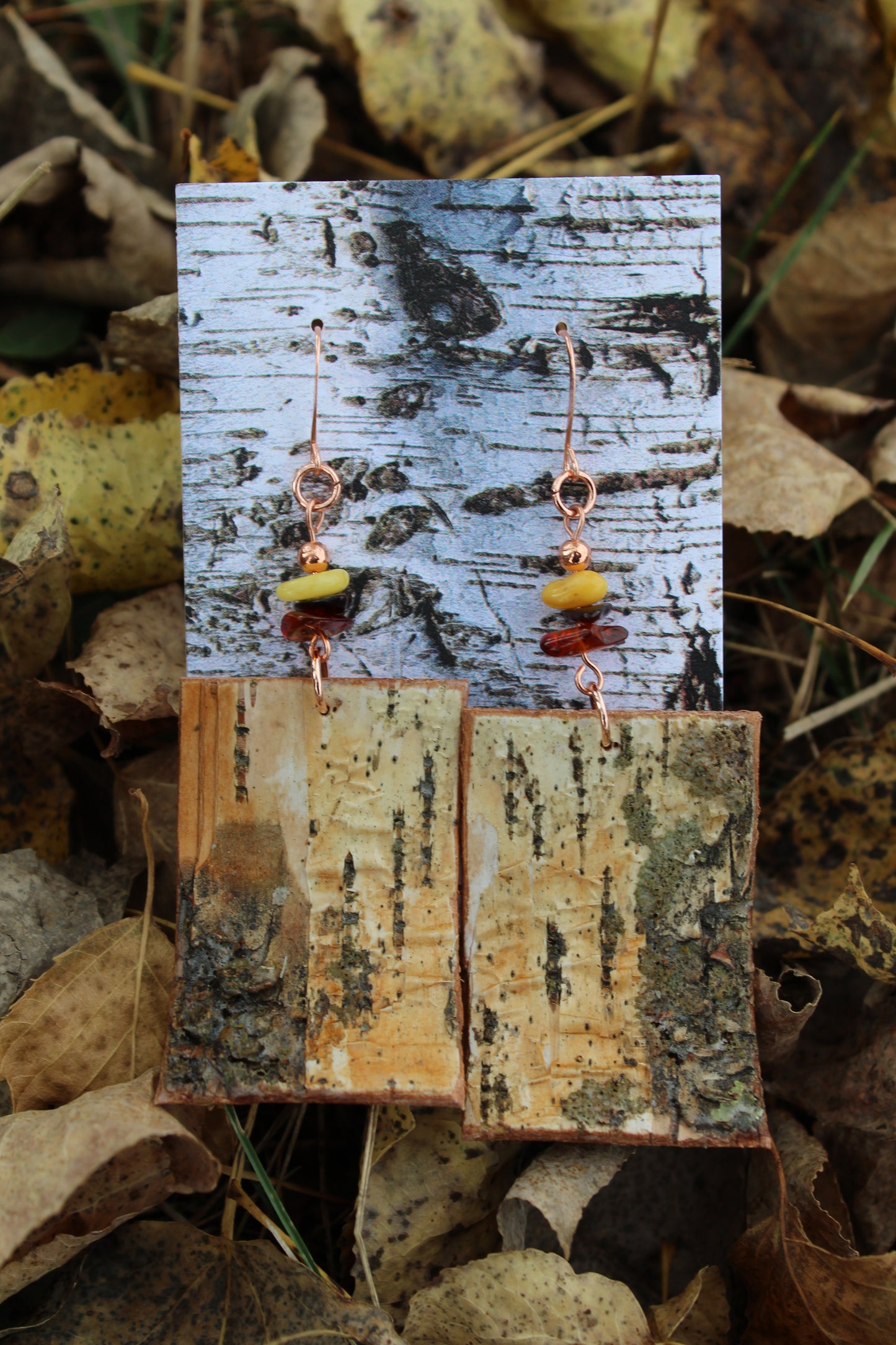 Birchbark and Amber Earrings