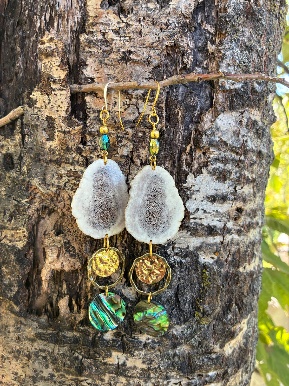Omashkooz Elk Antler Earrings with Abalone
