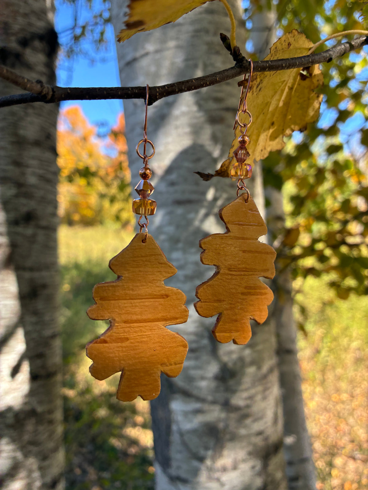Autumn Oak Birchbark Earrings