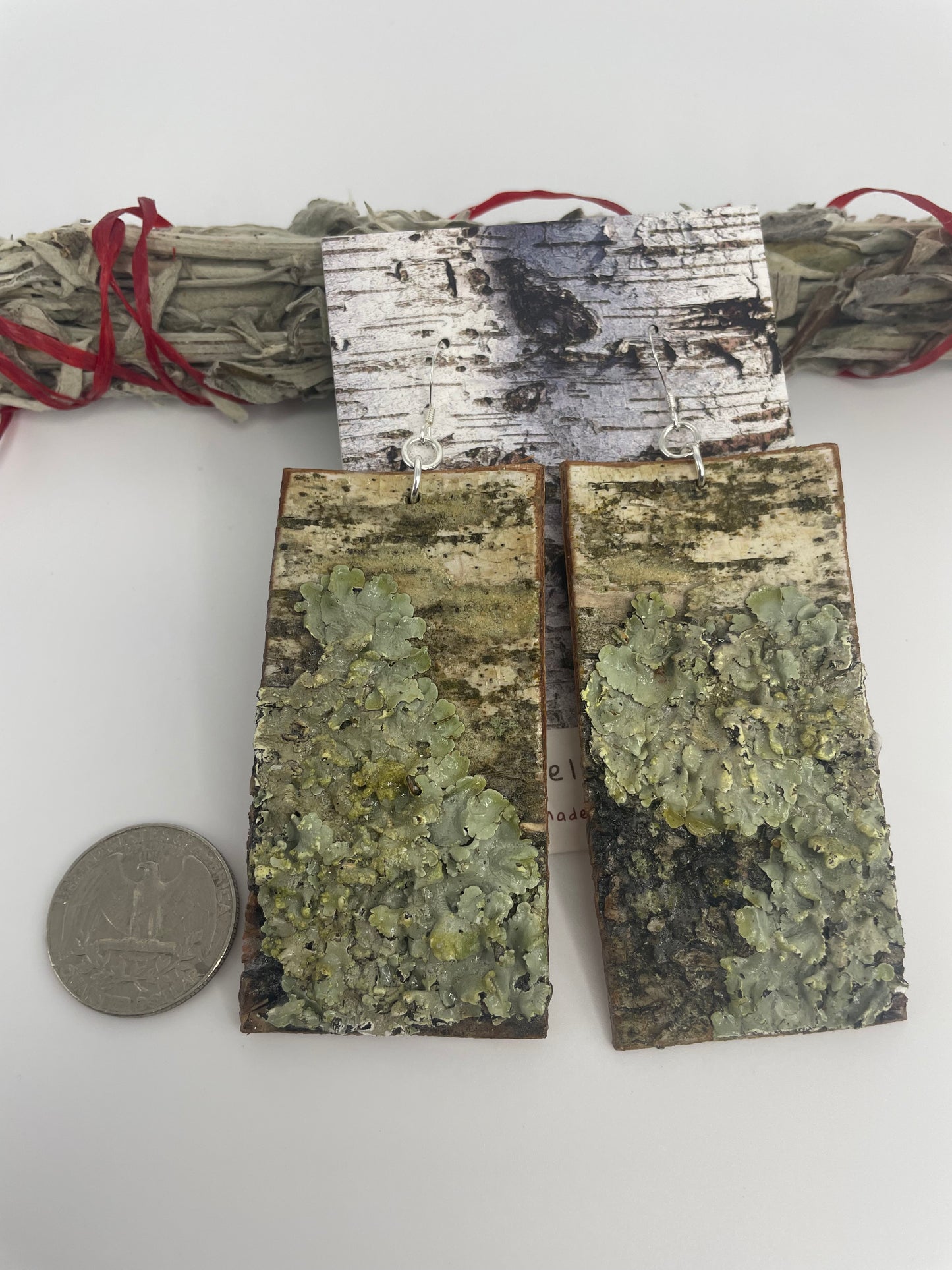 Birchbark and Lichen Earrings